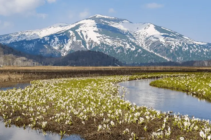 Enjoy Northern Greater Tokyo's Beauty & Culture