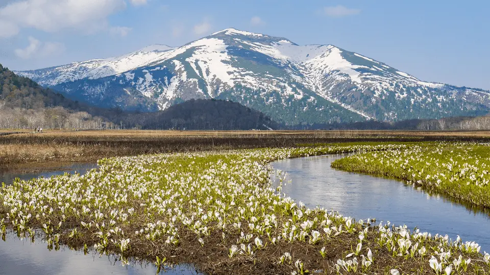 Hike in Oze National Park