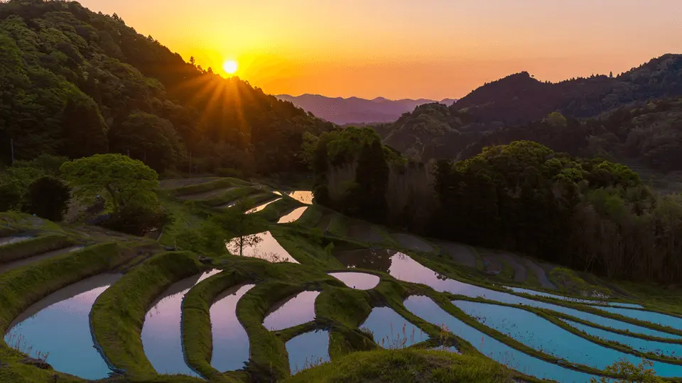 Oyama Senmaida: admire a landscape of over 300 rice paddies