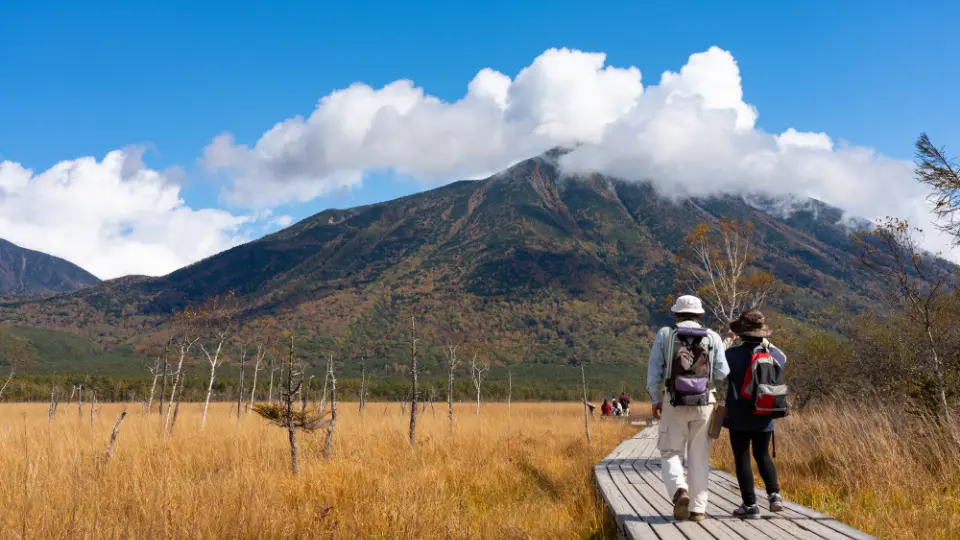 Soak up nature in Japan in Senjogahara Marshland, Nikko National Park