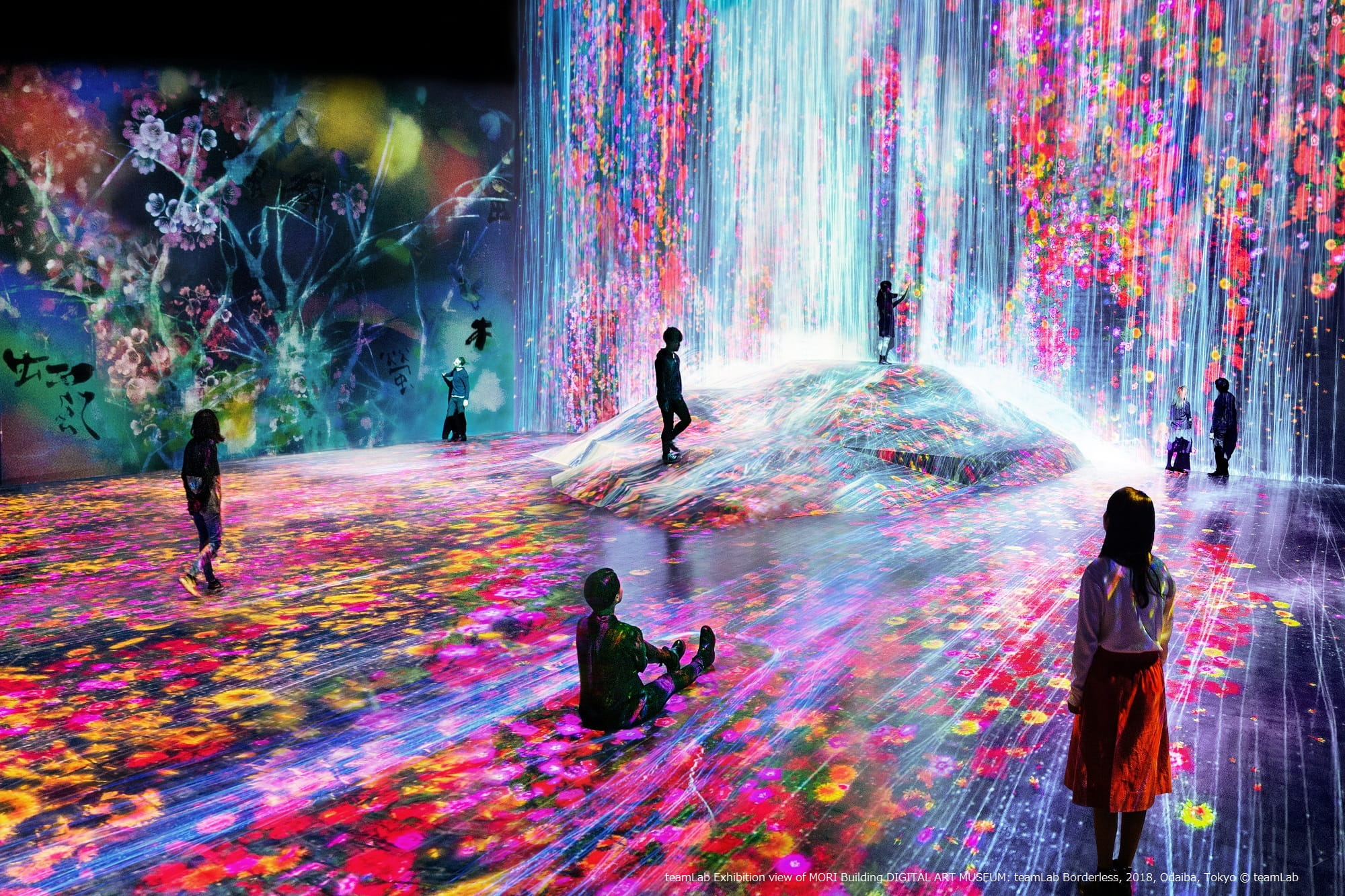TeamLab Borderless & teamLab Planets