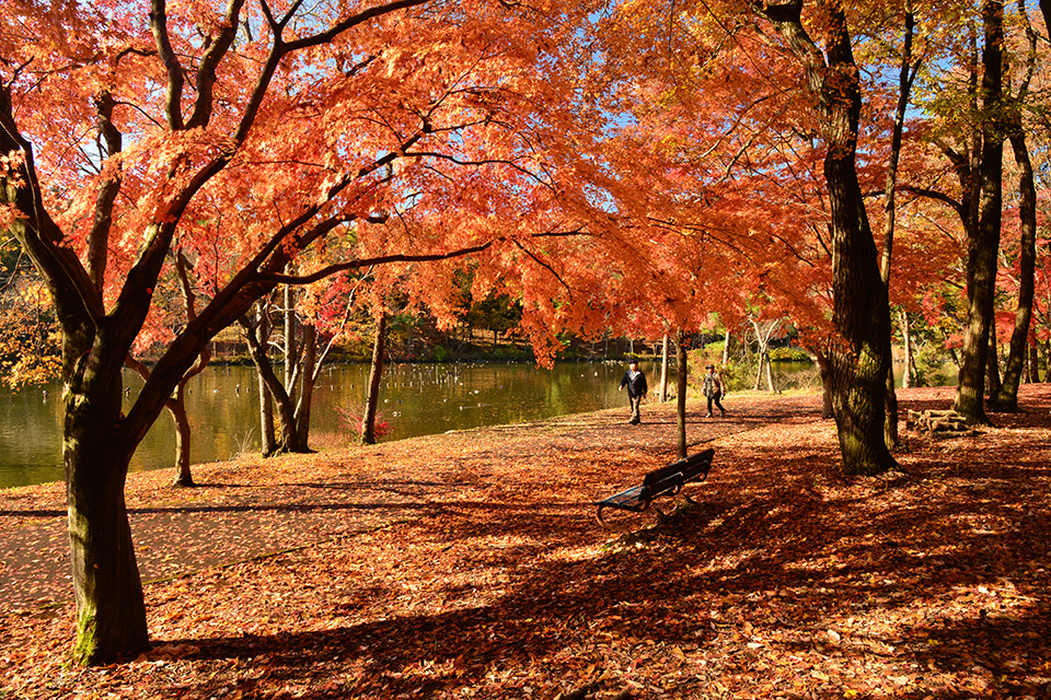Igashira Park