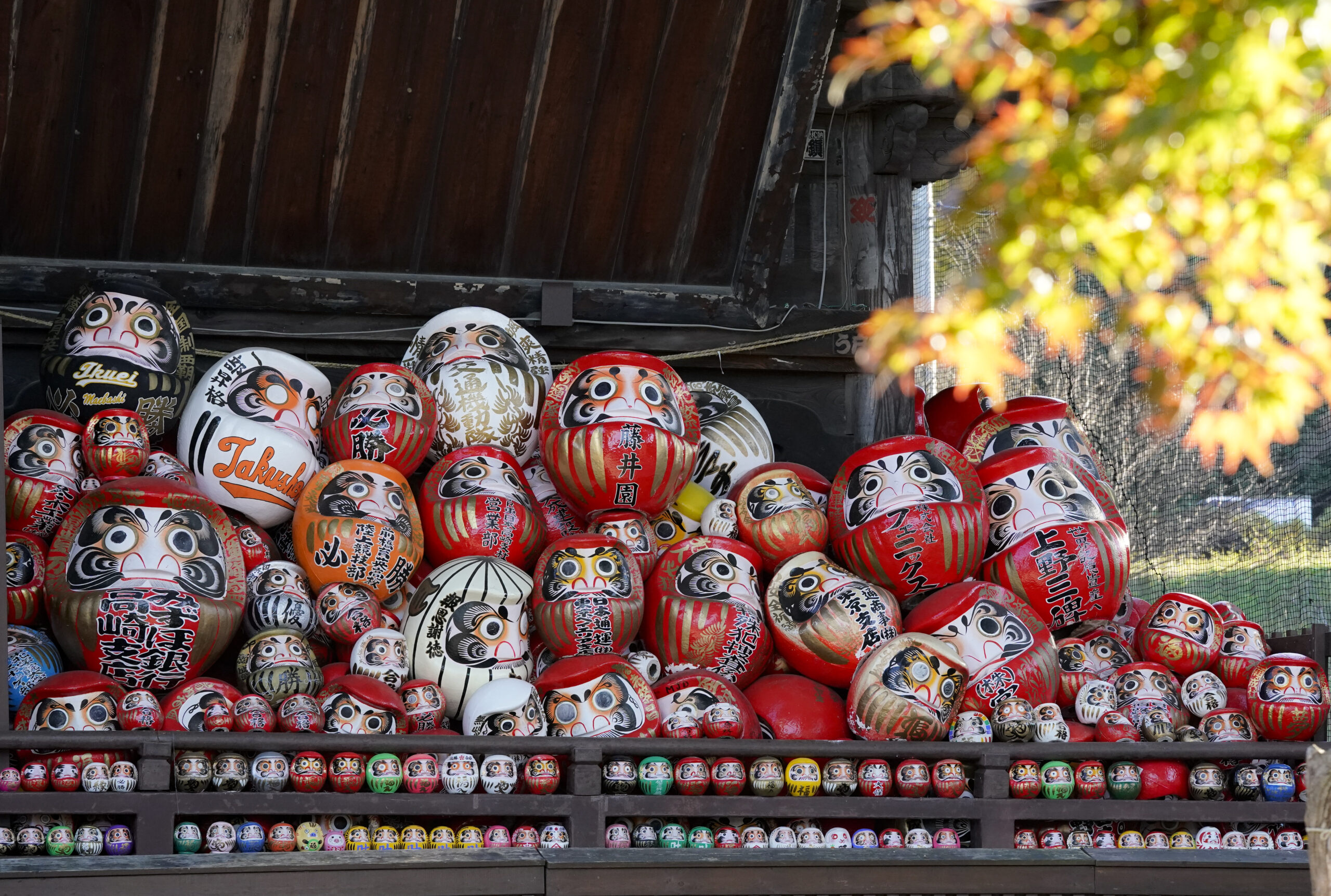 Shorinzan Darumaji Temple