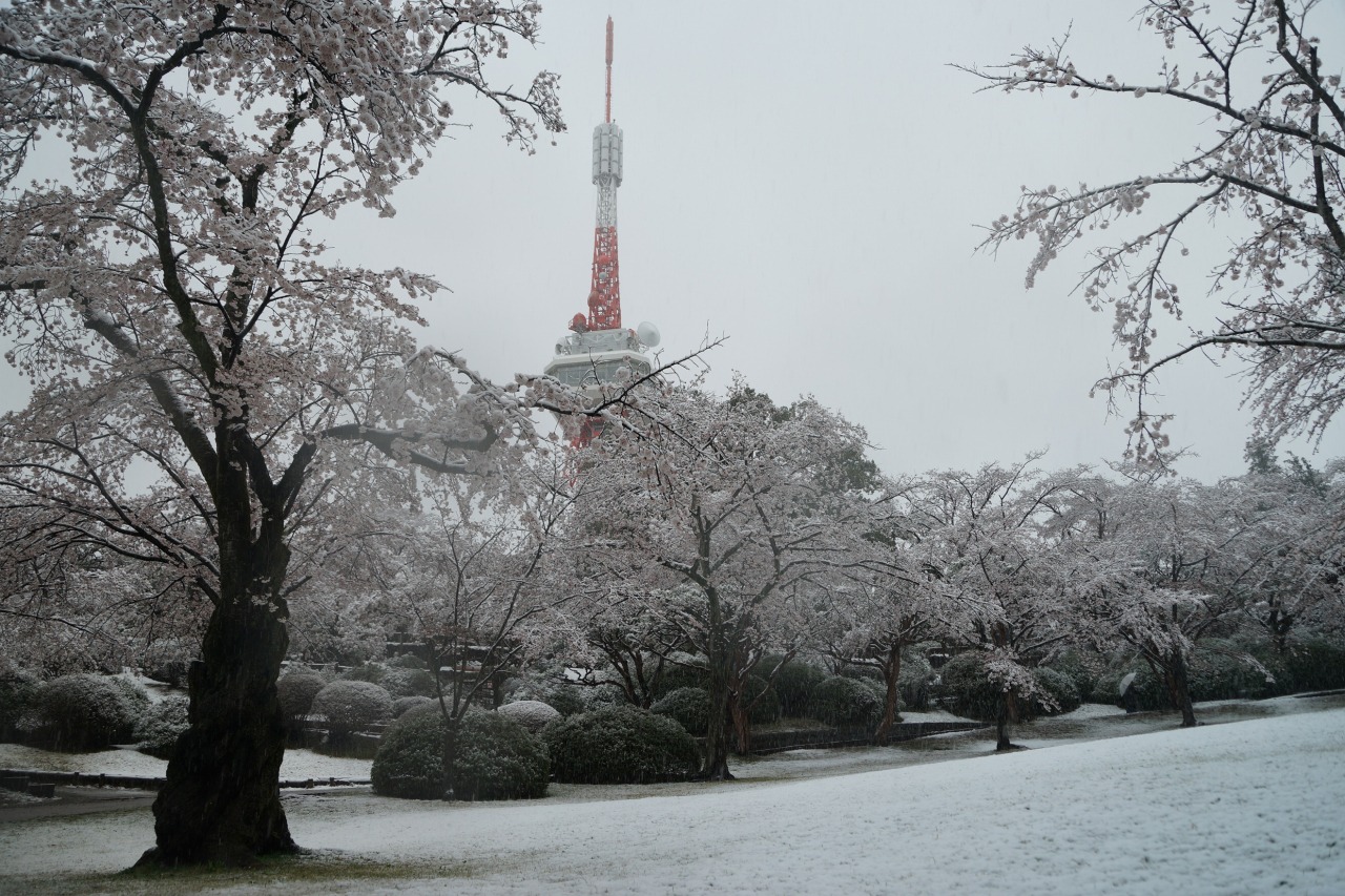 Hachimanyama Park