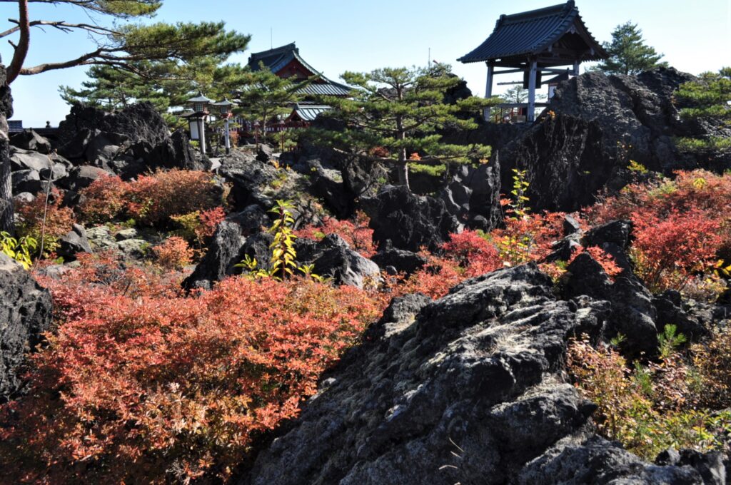 Four Seasons of Natural Wonder and Outdoor Activities