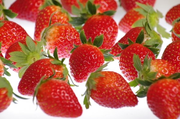 Pick-Your-Own Strawberries