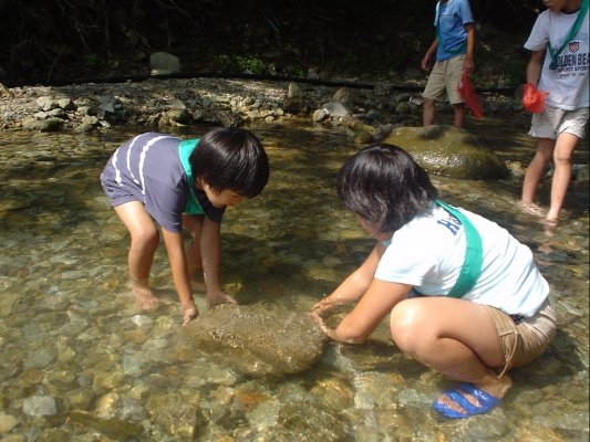 All-You-Can-Grab Fish in kawaji & Obarazawa