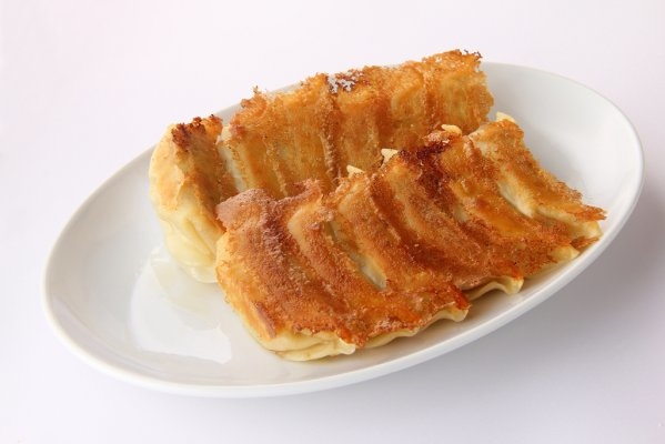 Utsunomiya Gyoza Festival