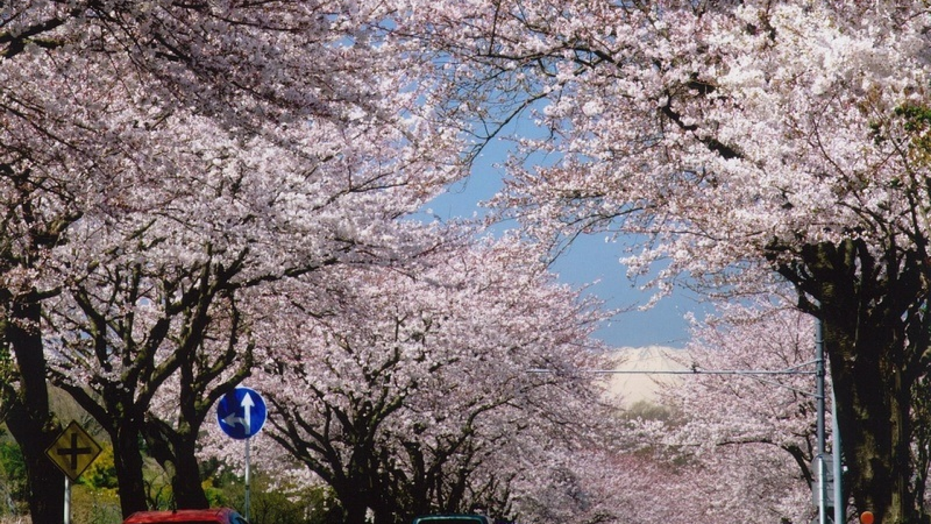 Hadano Sakura-michi Promenade