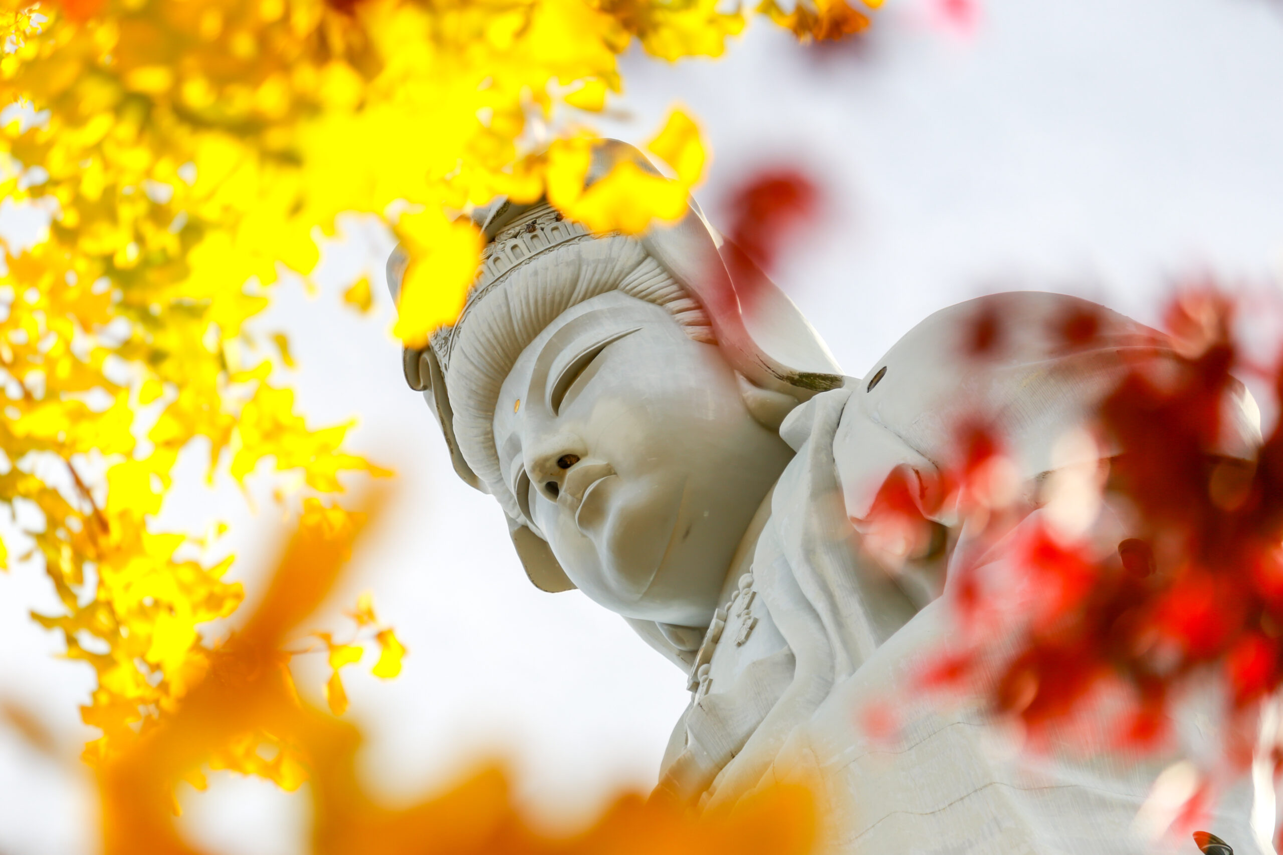 Byakue Dai-Kannon