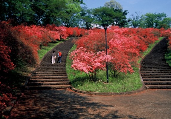Nagamine Park