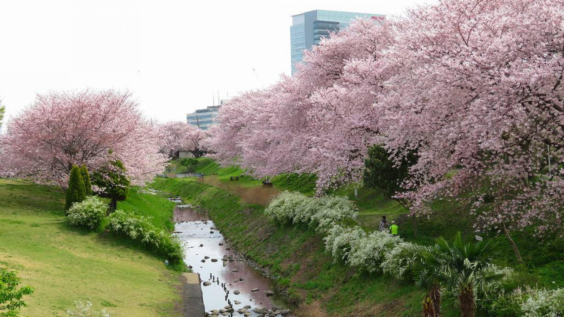 Kanagawa Prefectural Sagami Sansen Park
