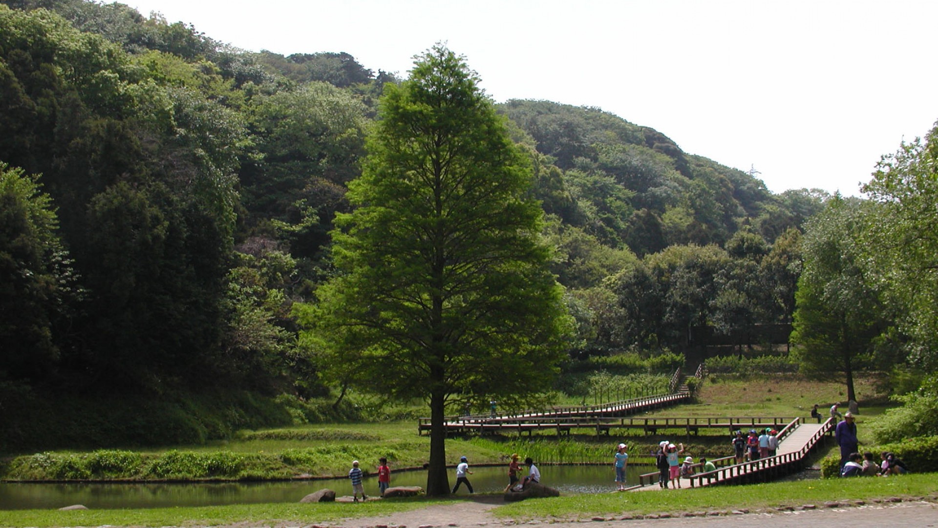 Shinbayashi Park (Stroll/Bird-watching)