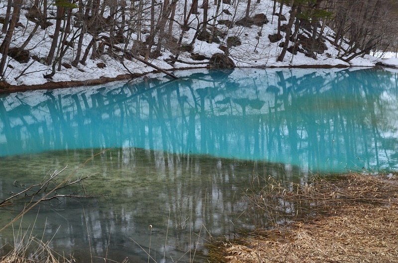 Access to Goshikinuma Ponds