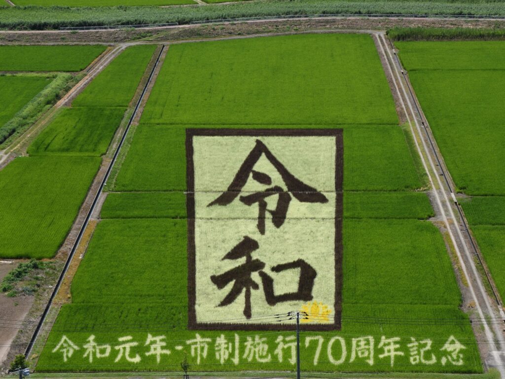 Access to Gyoda City’s Rice Paddy Art