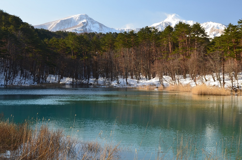 Ever-changing Views Through the Four Seasons