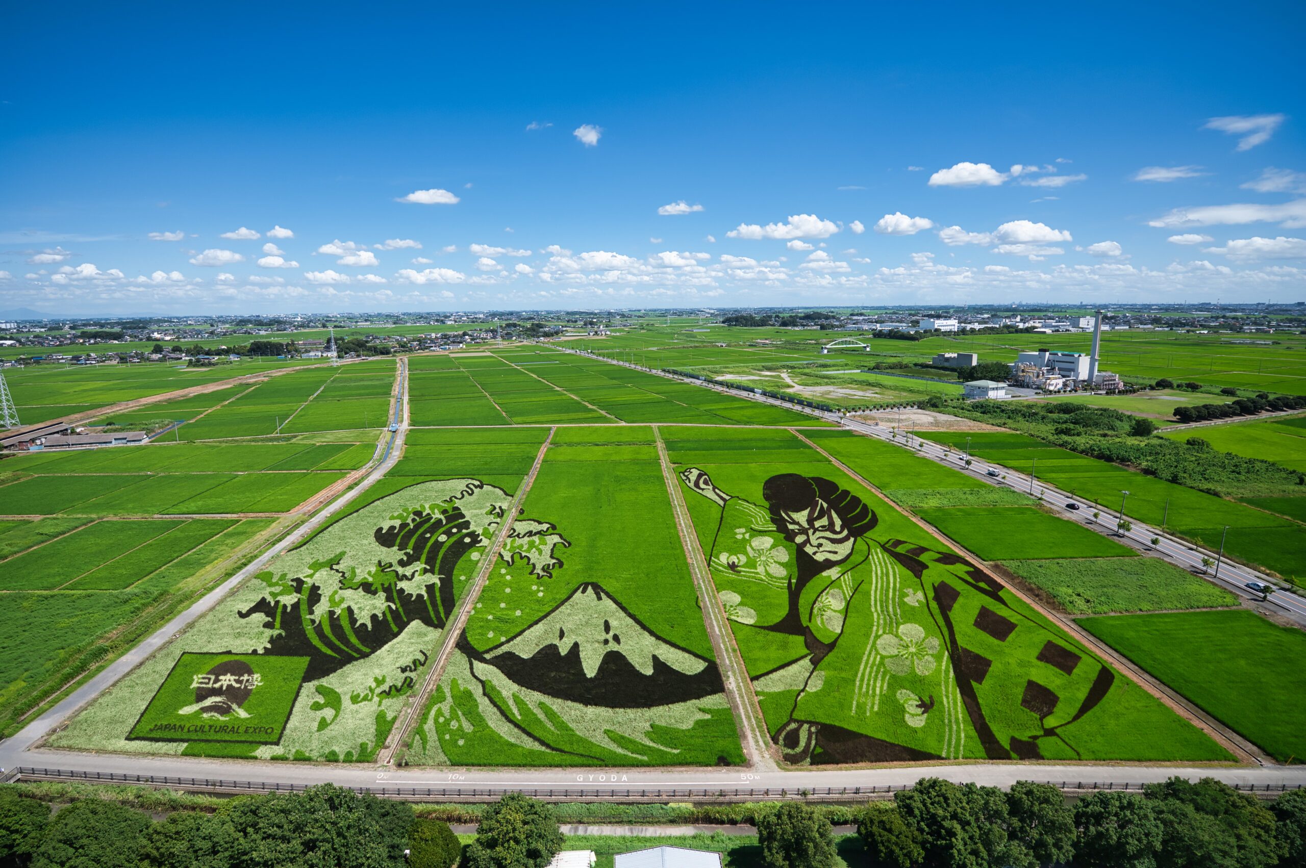Gyoda’s Rice Paddy Art