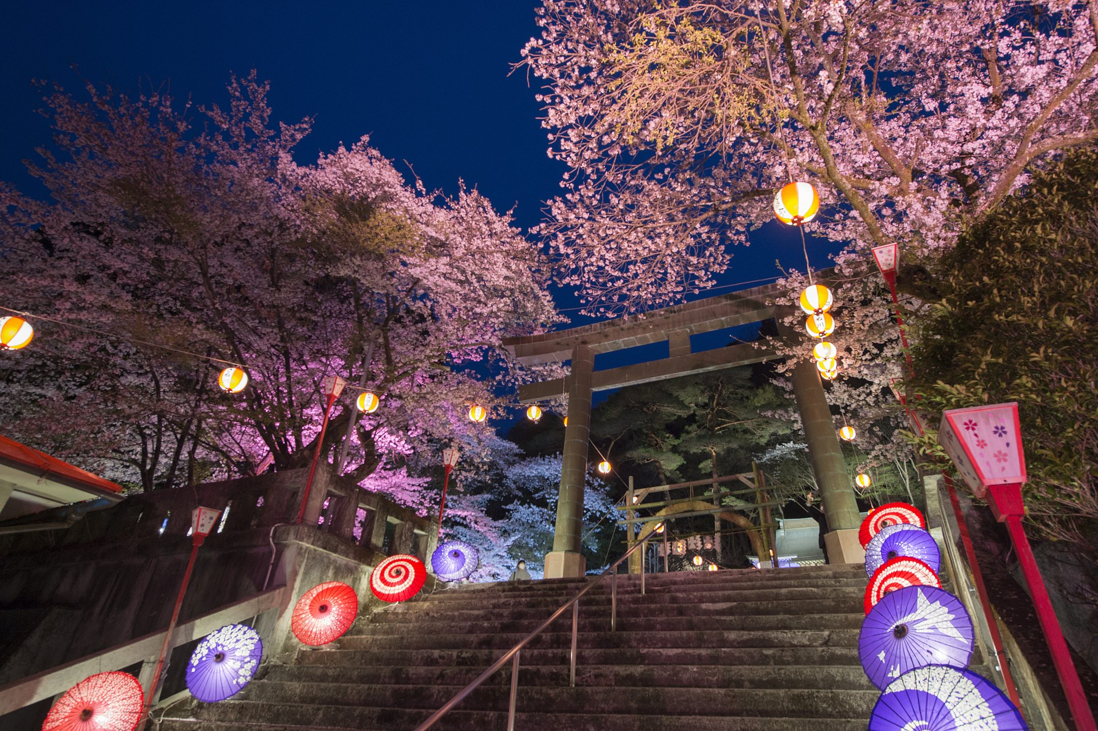 Kinugawa Onsen Night Cherry Blossom Event “Kinugawa Mangekyo”