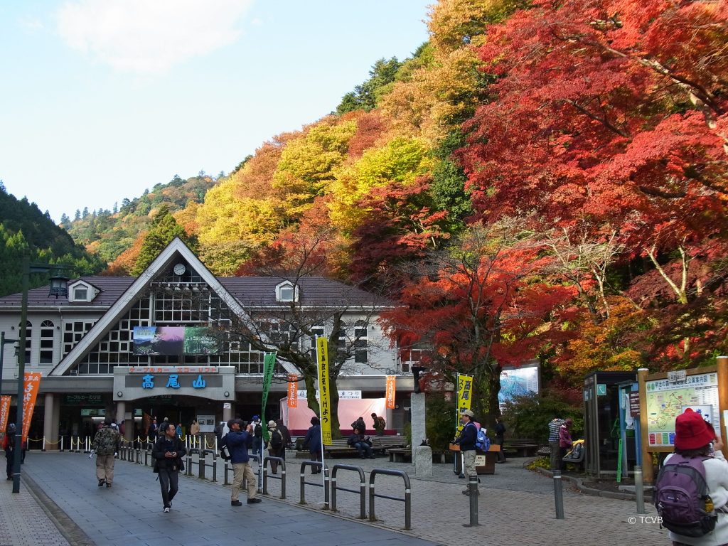Only an hour west of Tokyo lies the natural greenery and beauty of Mt. Takao and Okutama.