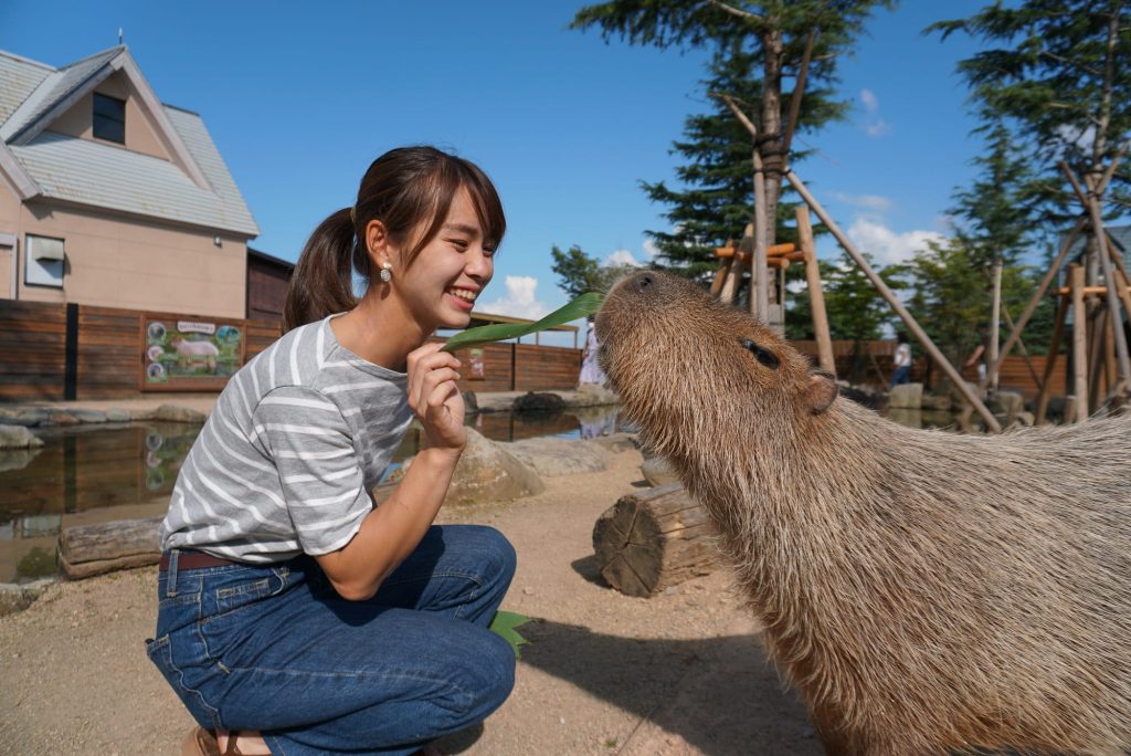 Unleash your inner beast at Tochigi’s Animal Kingdom!