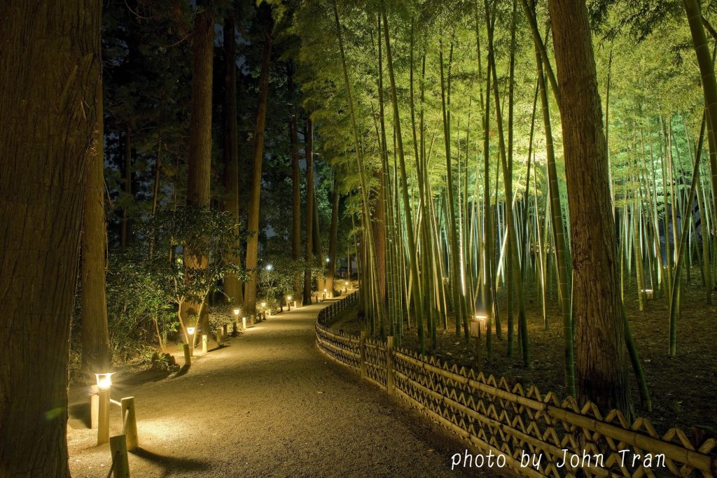 Unravel the mysteries of Ibaraki Prefecture at the equally historic Kairakuen Garden and Kodokan Mito Han School.