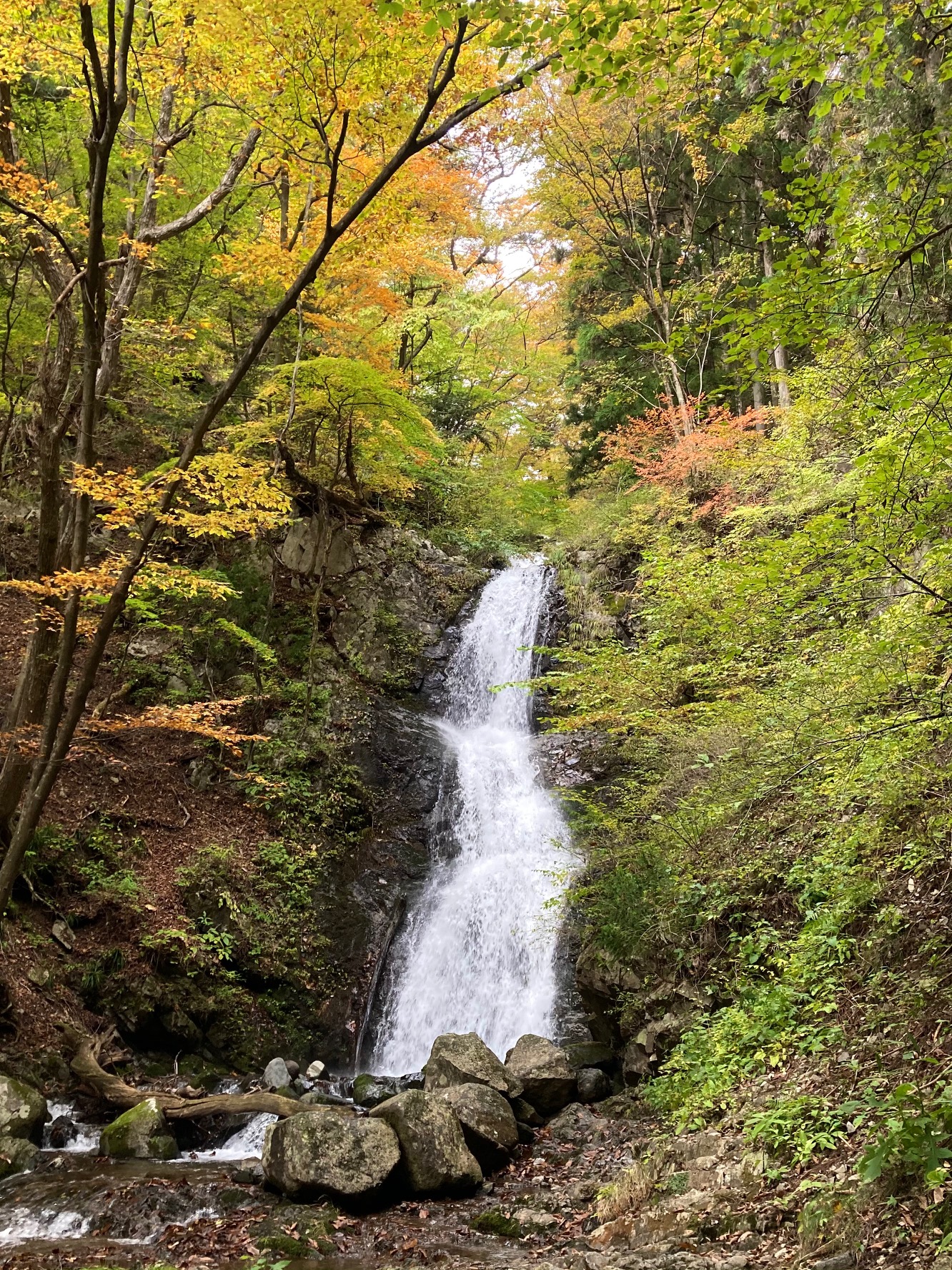 Jakko Falls