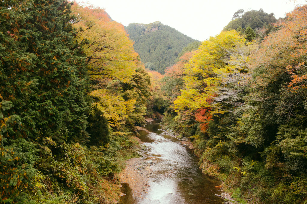 Let yourself be amazed by Tokyo’s green hideaway!