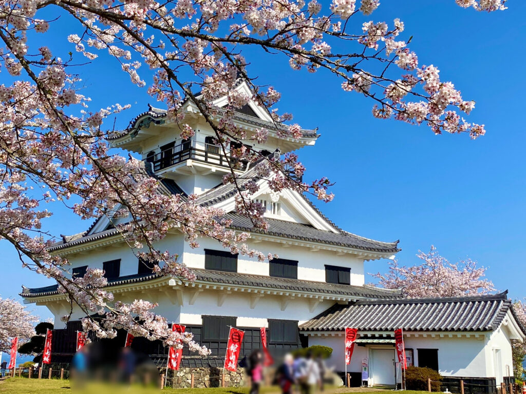 Tateyama Castle and Shiroyama Park