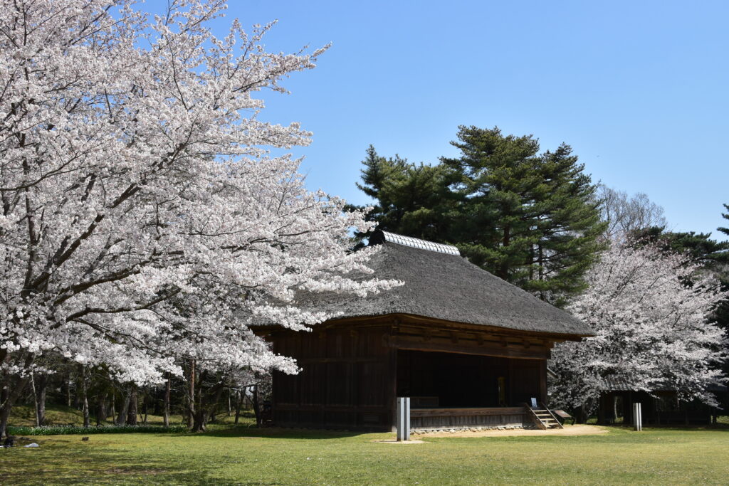 Head to Boso no Mura for a unique journey through Japan's past, with about 250 different activities and faithfully recreated historic streetscapes!