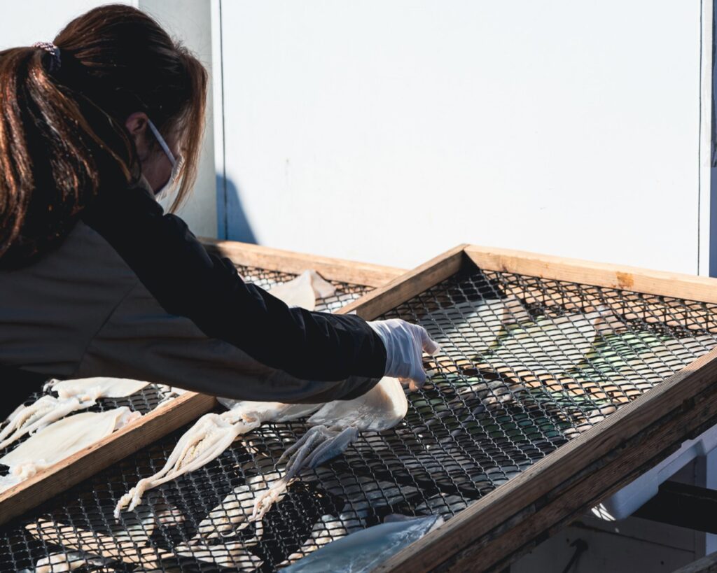 Experience Nakaminato Fish Market