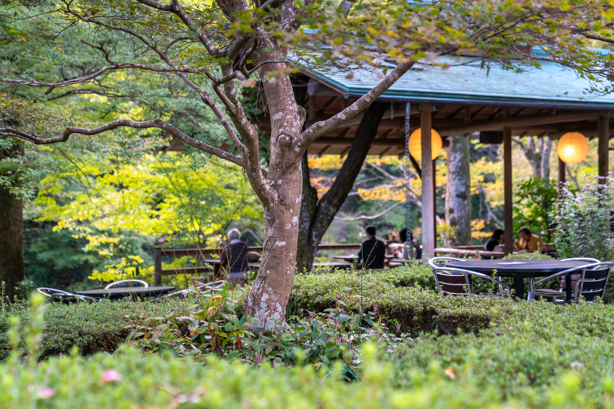 Slow Travel and Local Flavors: Savoring the Spirit of Japan