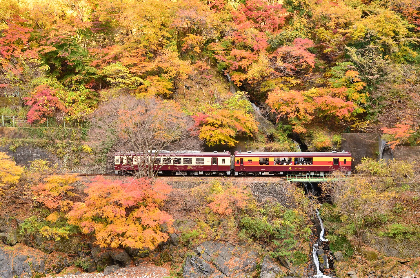 Watarase Keikoku Railway