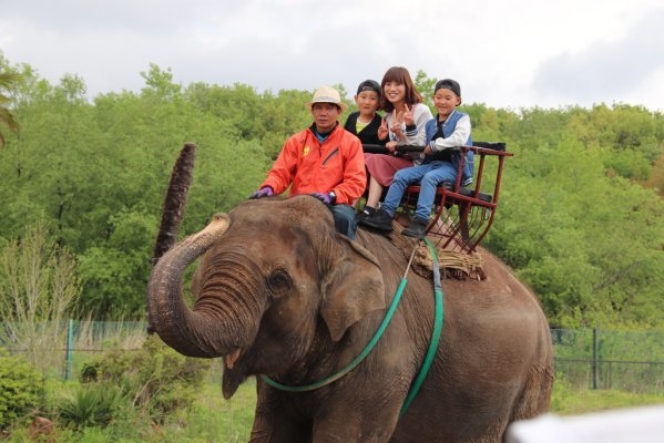 Nasu World Monkey Park