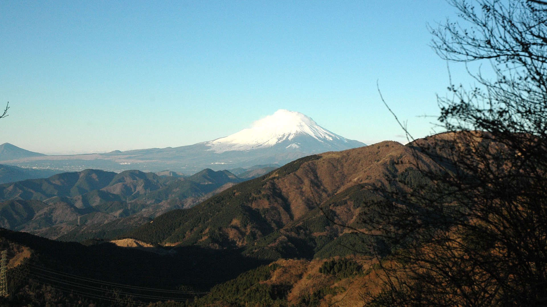 Fujimidai