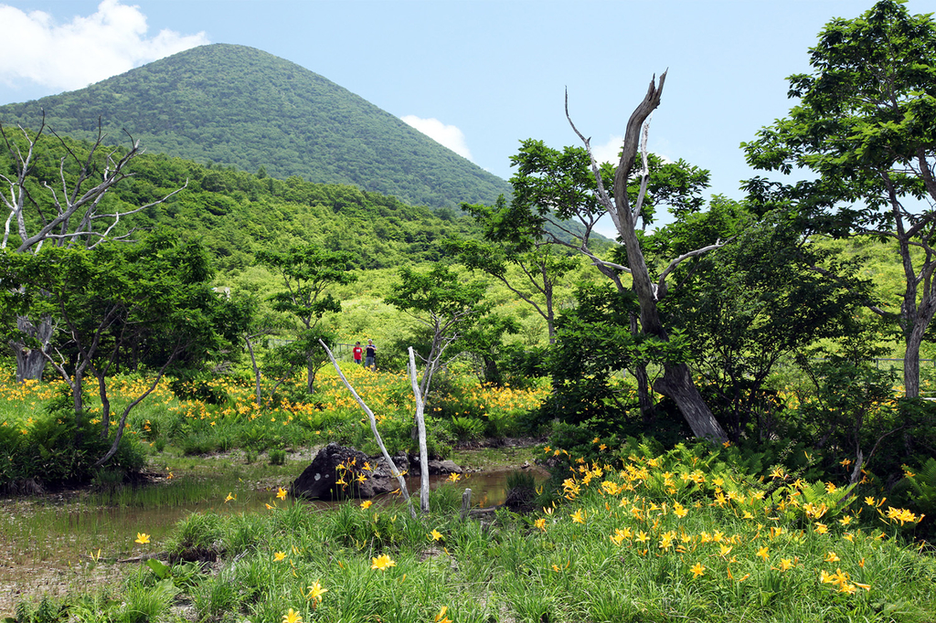 Numappara Marsh