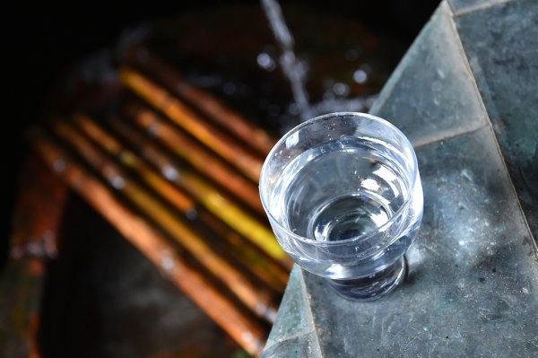 Tochigi Local Sake Tasting in Kinugawa Onsen