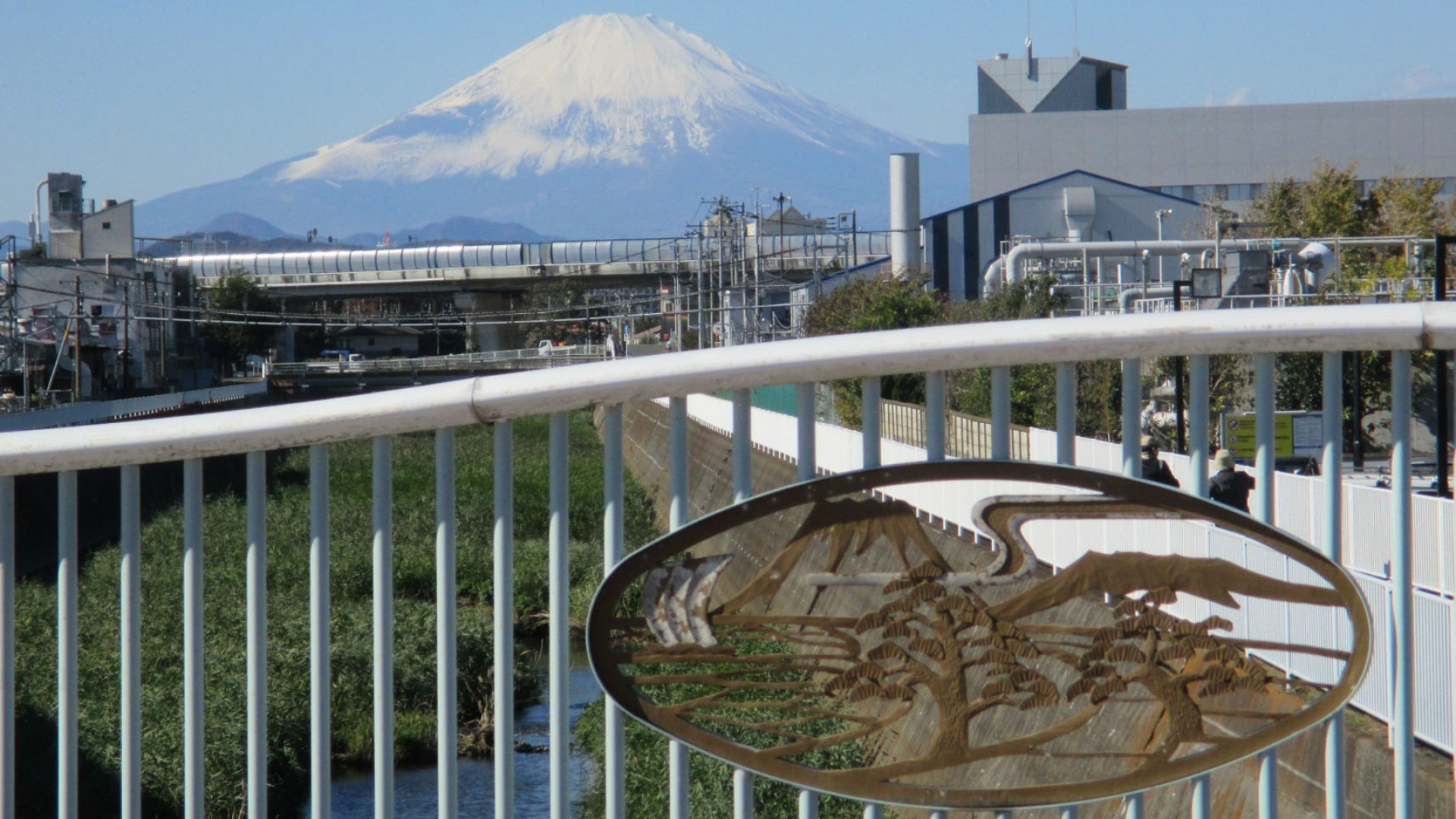 Nango Hidari-Fuji (Left Fuji)