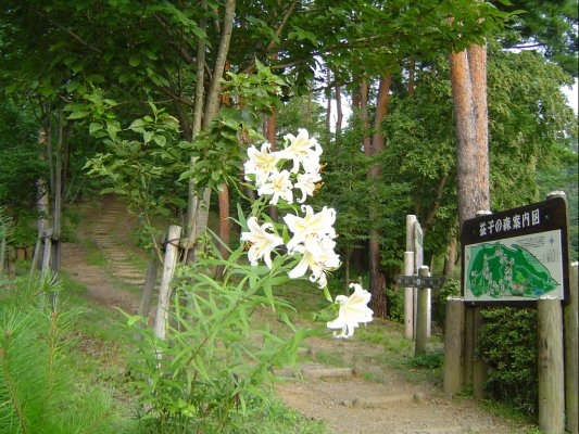 Mashiko Prefectural Nature Park「Mashiko Forest」