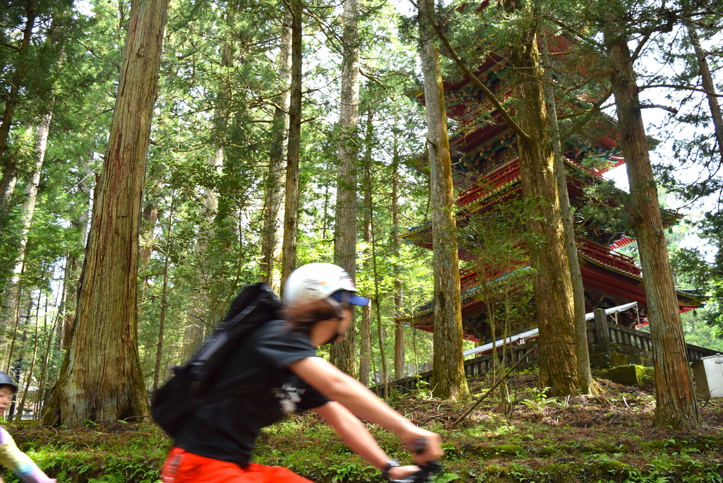 NIKKO BASE