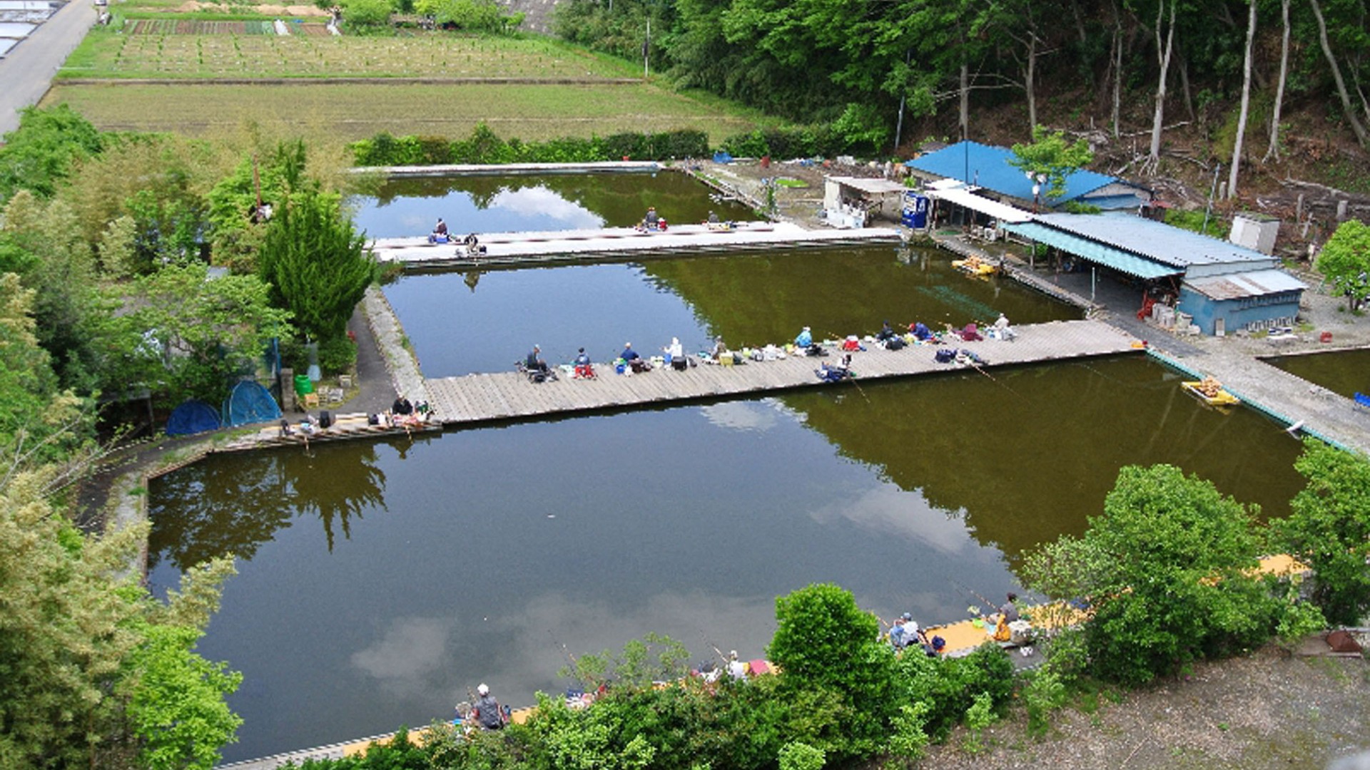 Atsugi Spatula Crucian Carp Center