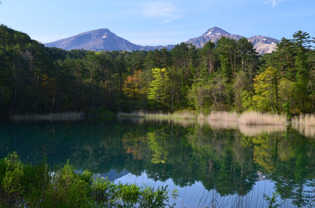 A Peaceful Hike for Visitors of All Ages