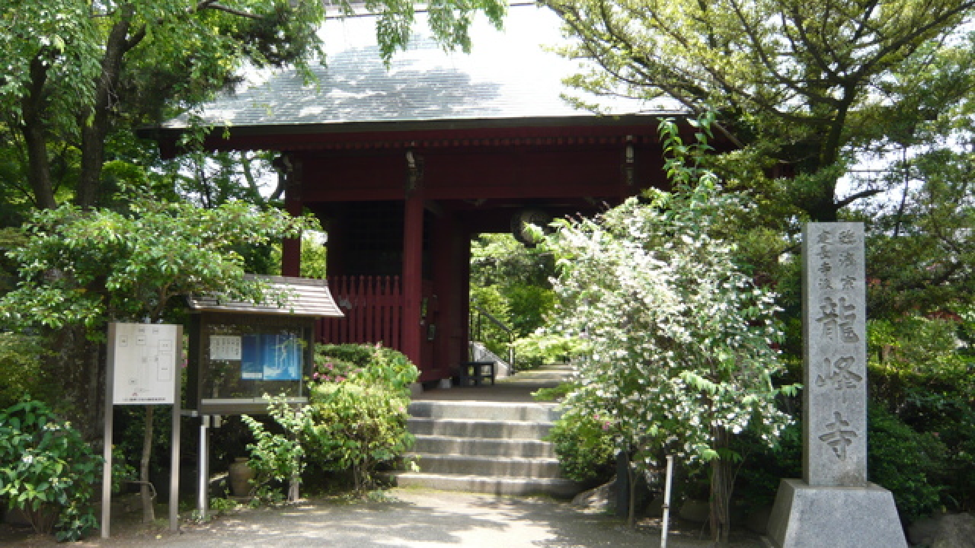 Ryuhoji (Wooden Senju-kannon)