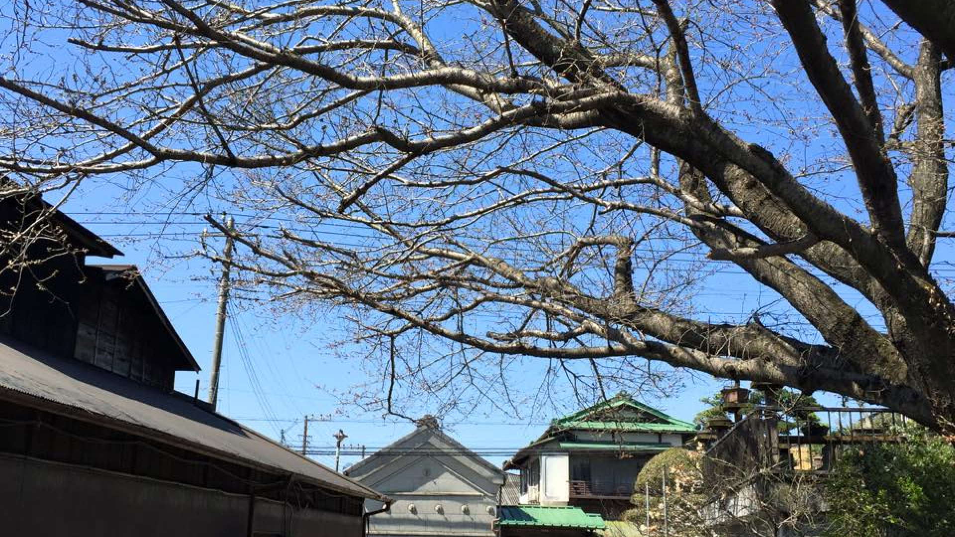 Inoue Sake Brewery