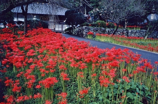 Jorakuji Temple (Rokujison)