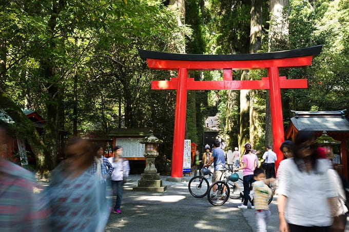 Hakone Mountain Ripper