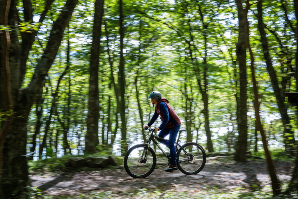 Learn why areas around Hakone are considered “power spots” on a guided hiking or cycling tour.