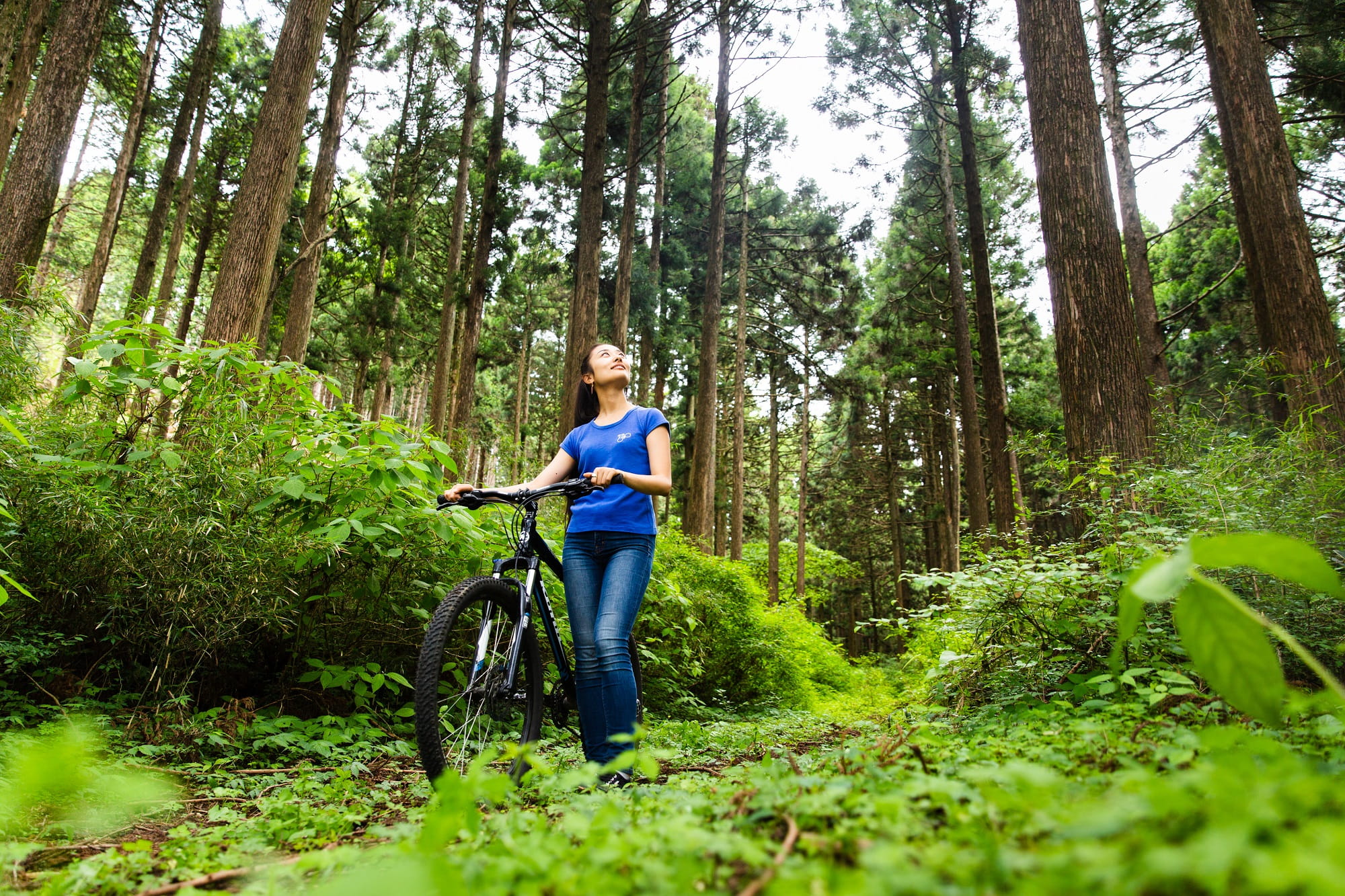 Hakone Mountain Ripper