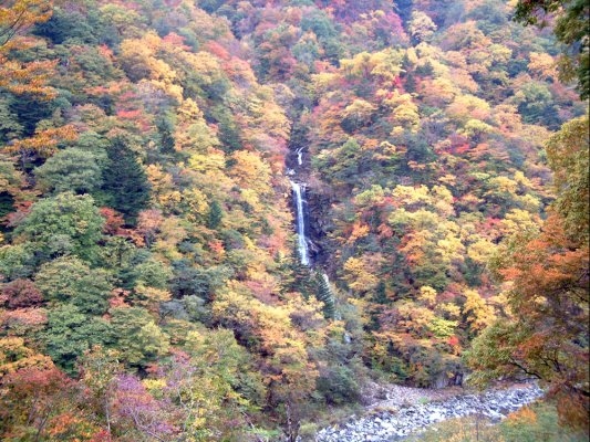 Jao Falls