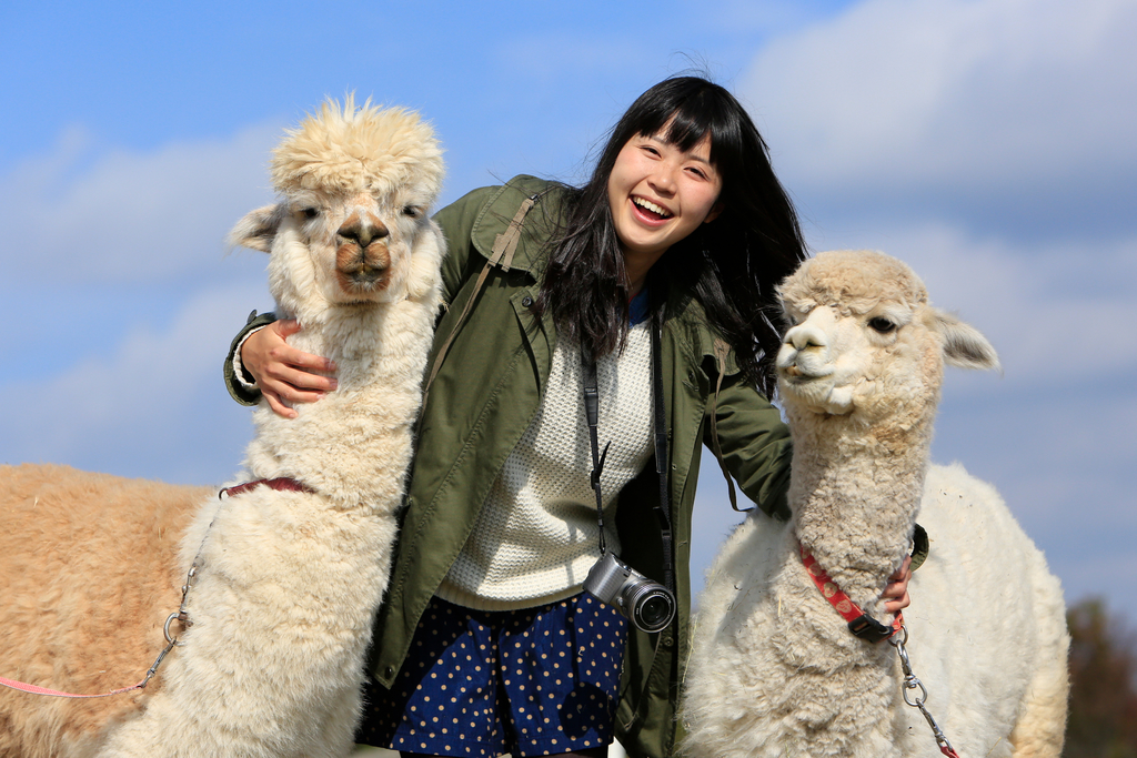 Nasu Animal Kingdom