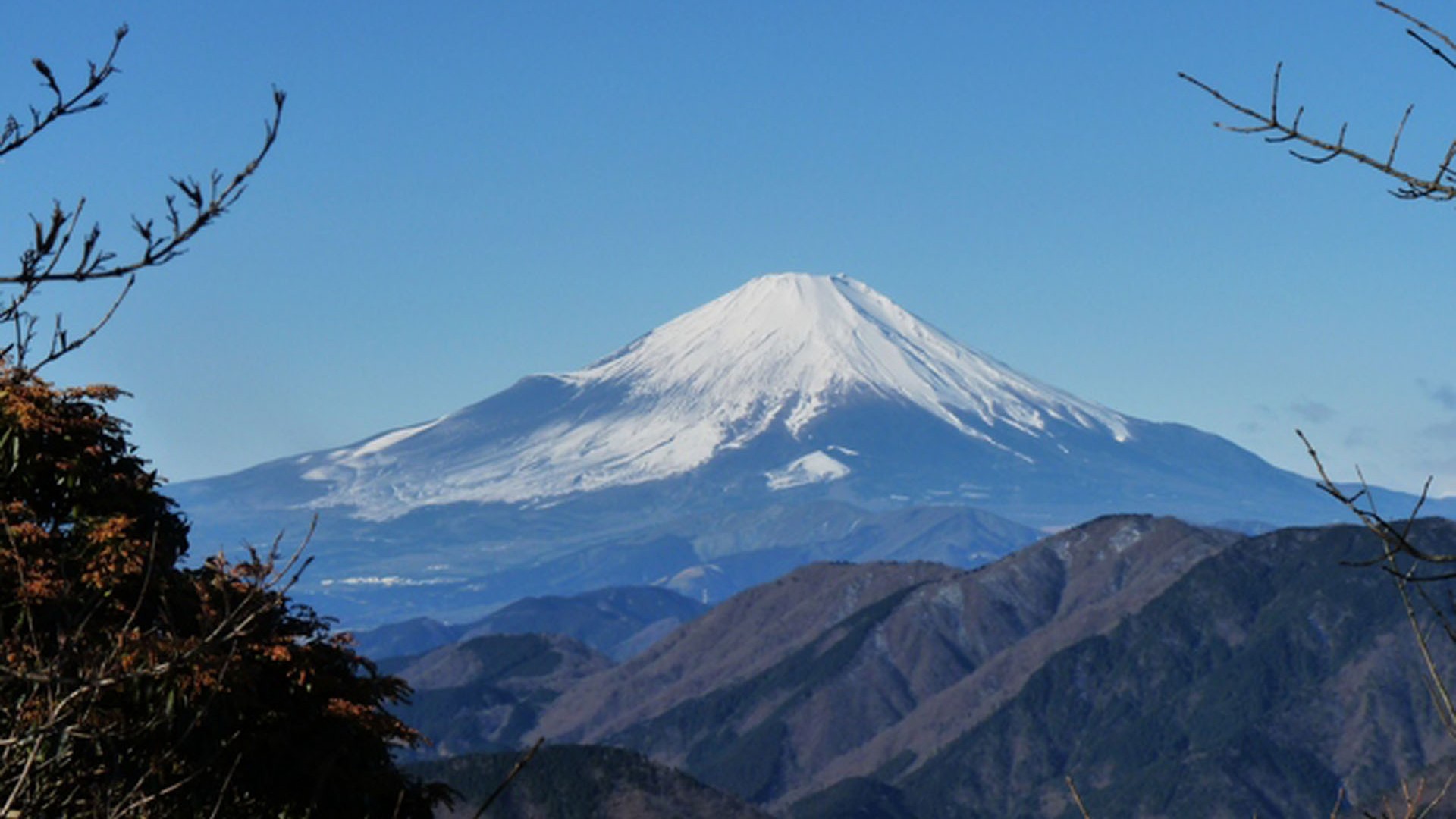 Ninotou